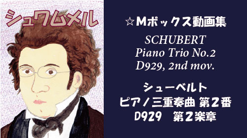 シューベルト シューベルト ピアノ三重奏曲 第2番 D929 第2楽章