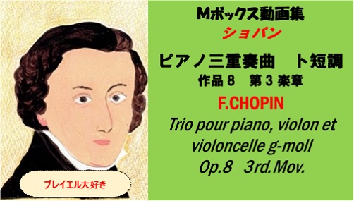 Chopin　ショパ ピアノ三重奏曲　ト短調　作品8　第3楽章　